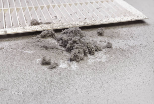 Best Commercial Air Duct Cleaning  in Murphy, NC